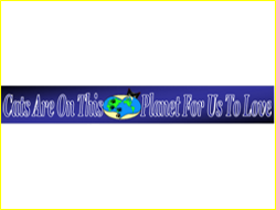 Your cat feeling are classy, after all.