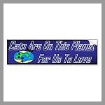 Cats Are Grounded Bumper Sticker
