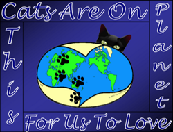 If you luv cats the way we luv cats, you'll love these 
						designs.