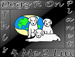 You love your dog; keep him or her warm in a dog coat with our 
						unique way of saying I love you.